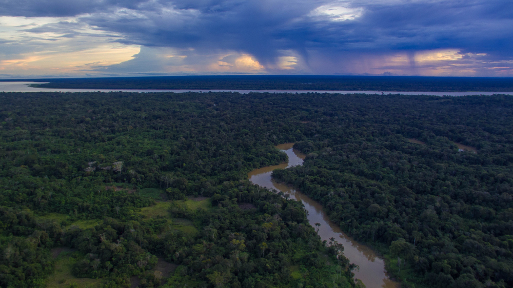parque nacional natural amacayacu