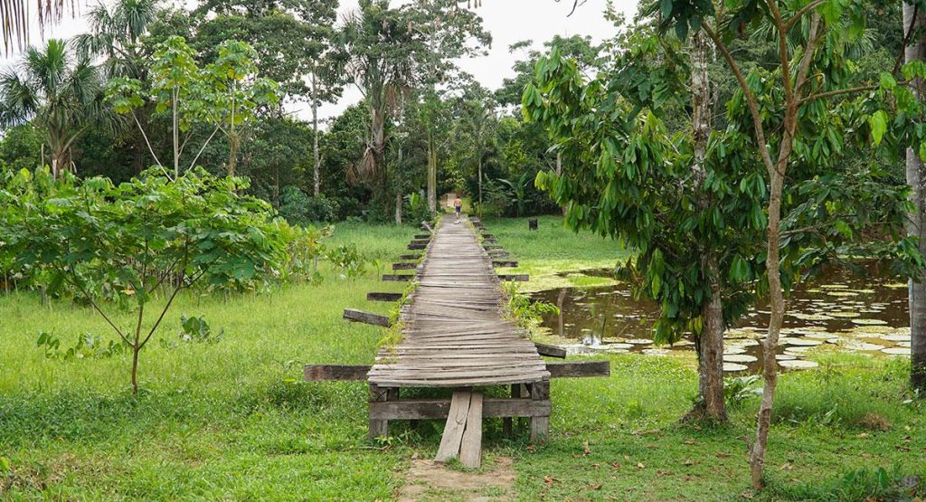 parque nacional natural amacayacu
