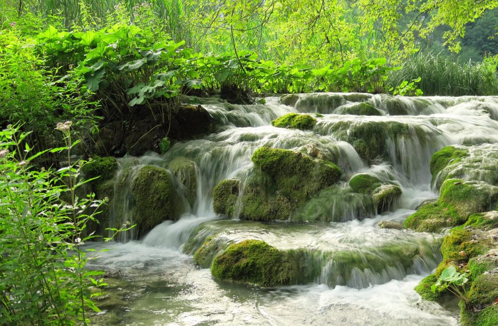 El parque nacional Natural Los Picachos 
