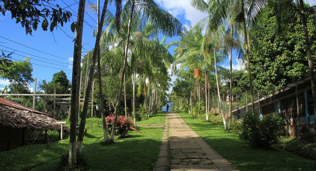 Puerto Nariño Amazonas
